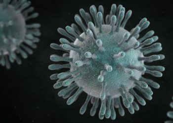 Coronavirus-Disease