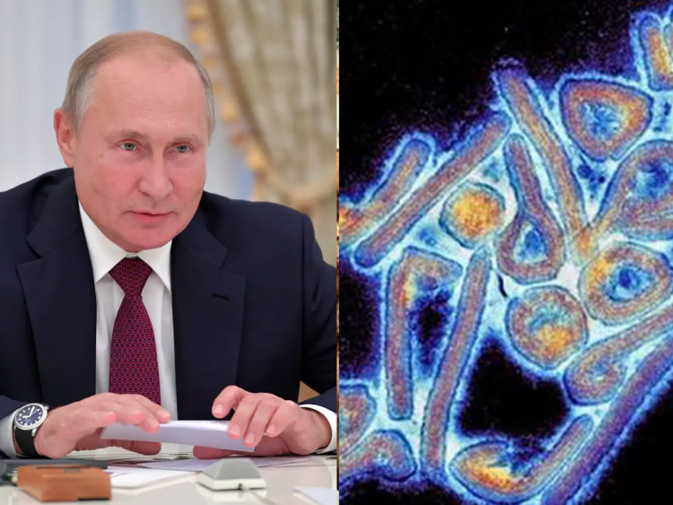 Russia Ebola Marburg Virus Weapon