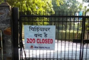 bird flu in delhi zoo