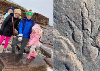 4-year-old-girl-lily-wilder-discovers-220-million-year-old-dinosaur-footprint-on-welsh-beach