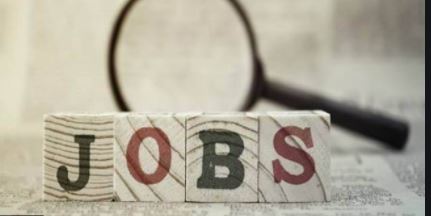 Big bang for the unemployed government, recruitment to 50 thousand posts soon