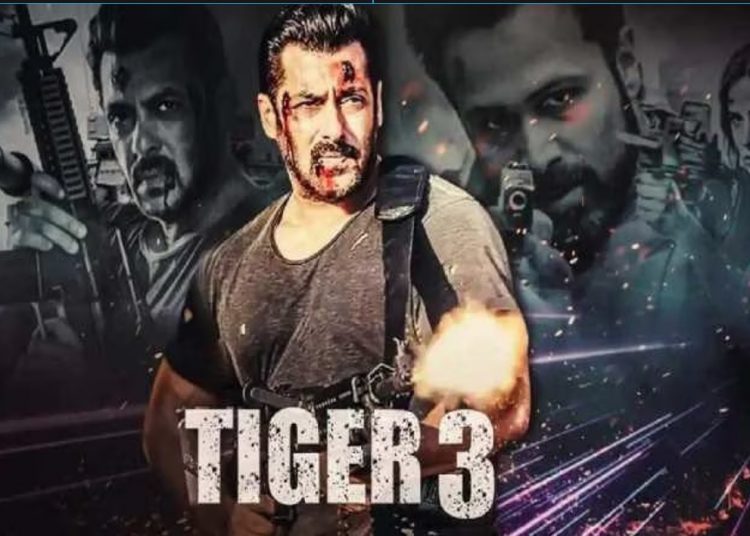 Tiger 3 Teaser:ट्विटर पर ट्रेंड हुए सलमान खान, कैटरीना कैफ; इस तारीख को फैंस तक पहुंचाएंगे 'टाइगर का मैसेज'