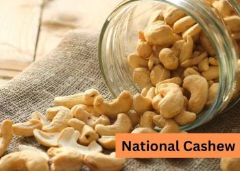 National Cashew Day: आज है नेशनल काजू डे, इस खास डे पर जानें काजू खाने के फायदे।