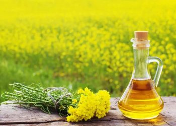 Mustard Oil Benefits: सर्दियों से बचना है तो हर रोज इस्तेमाल मे लाइए ये तेल।