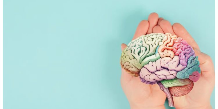 Brain Health: अगर आप भी हैं दिमाग से परेशान, तो ये हैं आपके लिए सुझाव..