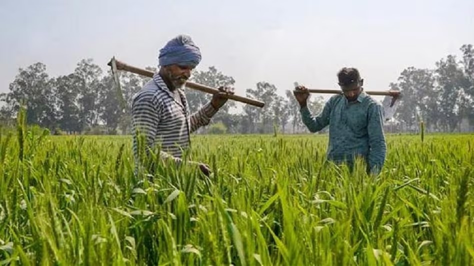 PM Kisan Yojana: बीजेपी की बंपर जीत के बाद, सरकार के तरफ से किसानों को मिला बड़ा तोफा। 