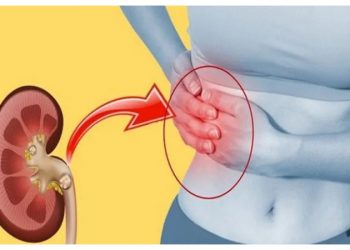 Kidney Stone: क्या होता है किडनी स्टोन! क्या सर्जरी के बाद भी नहीं होता है ठीक? पढ़िए पूरी जानकारी...