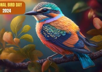 National Bird Day 2024: पक्षी दिवस है आज, अपने जीवन में सीख ले पक्षी के गुणों से और करें खुद को मोटिवेट