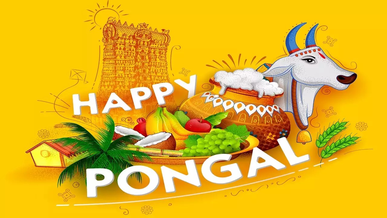Happy Pongal 2024: देश भर में पोंगल के त्योहार की धूम, जानें क्यों मनाते हैं , क्या है इसका महत्व?