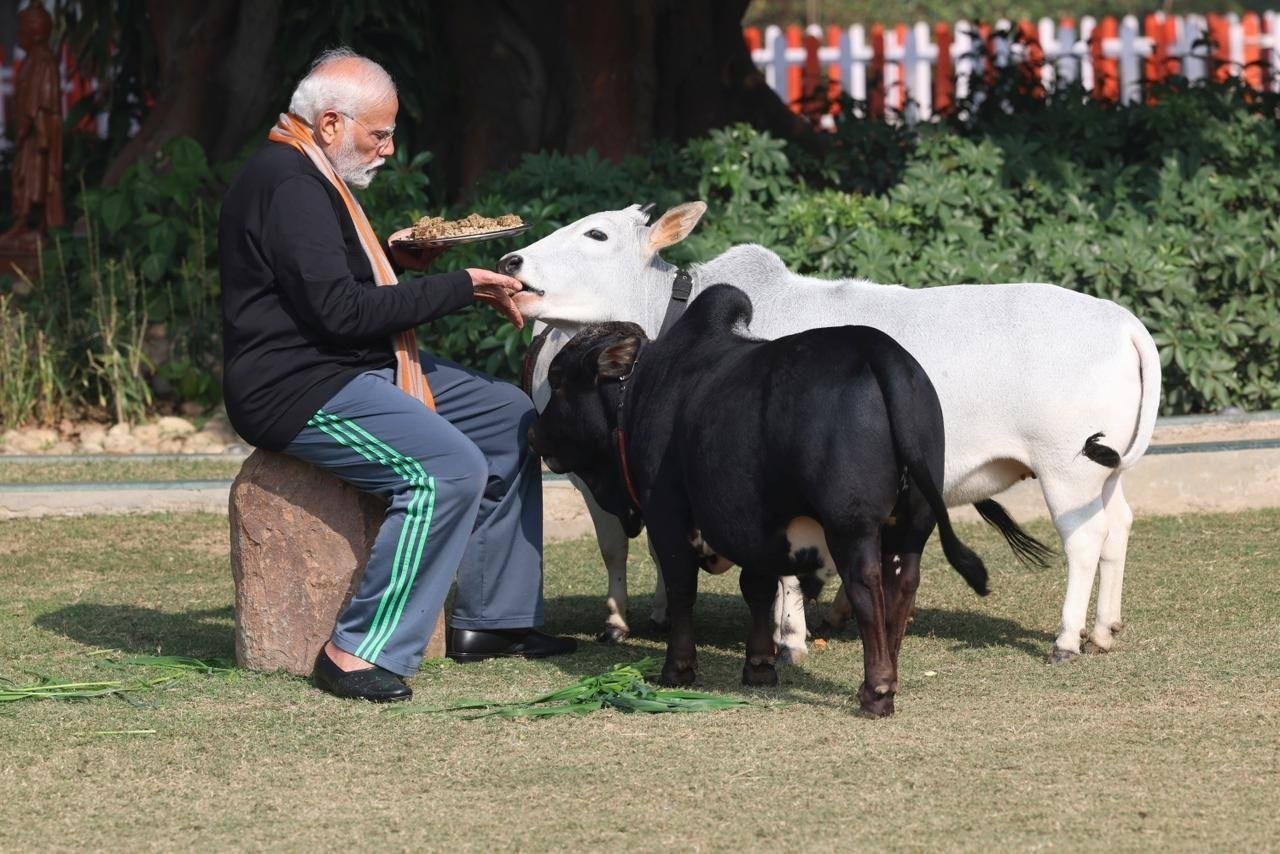 PM Modi: पीएम ने गायों को चारा खिला कर मनाया मकर संक्रांति का त्योहार, देशवासियों को दी शुभकामनाएं। 