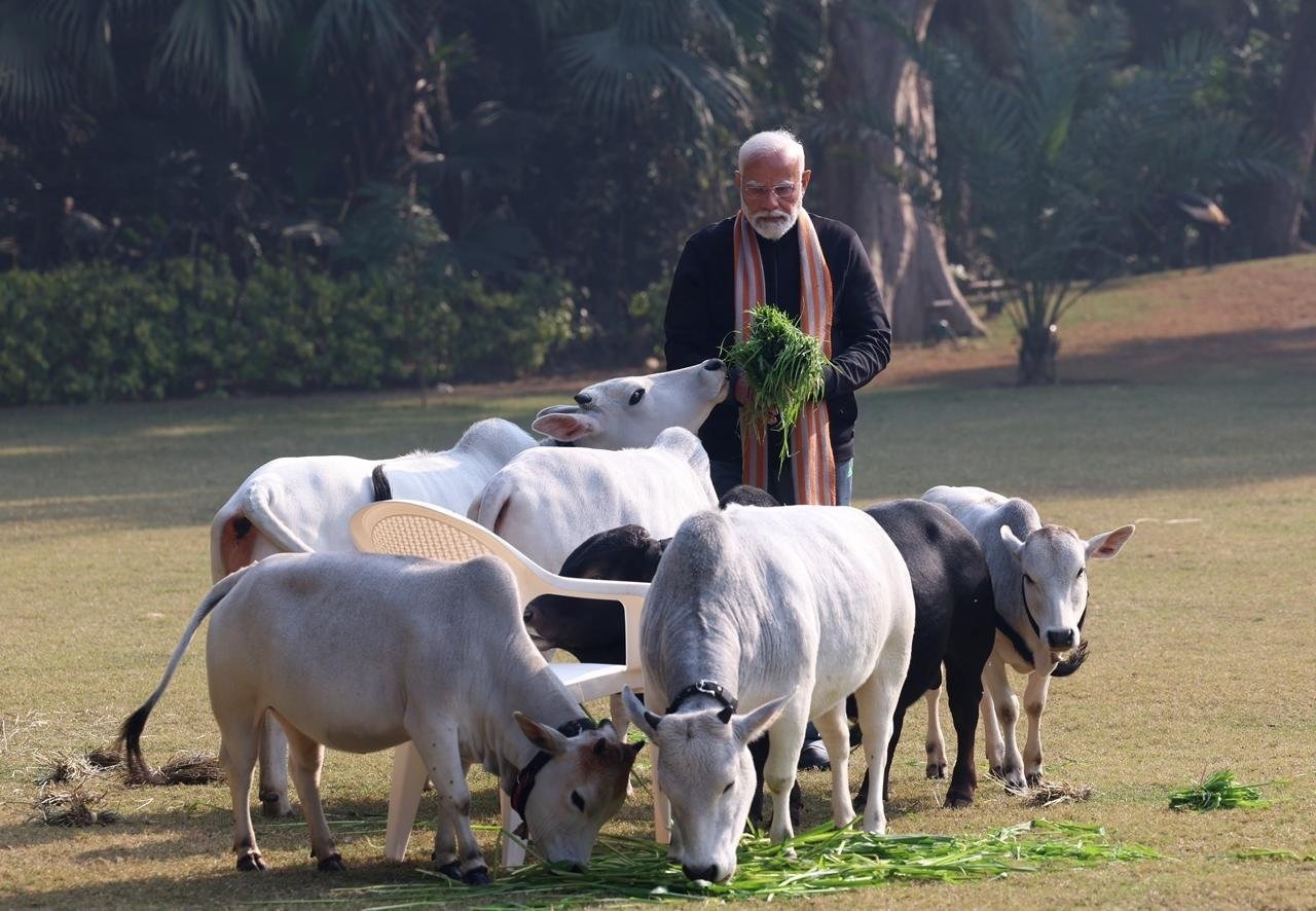 PM Modi: पीएम ने गायों को चारा खिला कर मनाया मकर संक्रांति का त्योहार, देशवासियों को दी शुभकामनाएं। 
