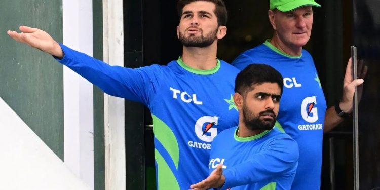 Pak vs NZ: पाकिस्तान टीम को लगा बड़ा झटका, इन तीन दिग्गजों ने दिया इस्तीफा!