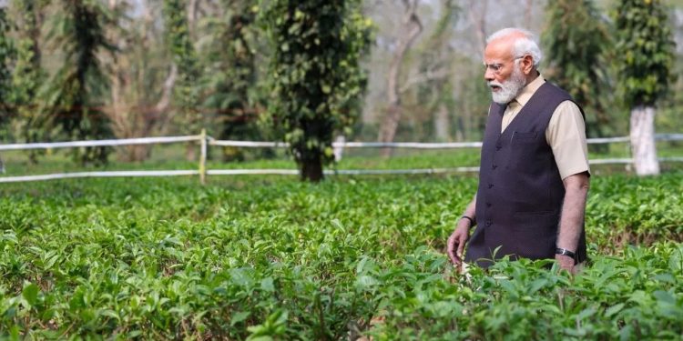 PM Modi Assam Visit: असम में PM मोदी ने देखा चाय बागान, लोगों से की अपील, बोले-'इन चाय बागानों को जरूर देखने आएं...'