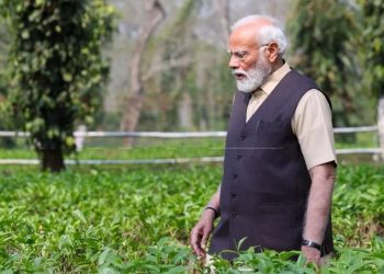 PM Modi Assam Visit: असम में PM मोदी ने देखा चाय बागान, लोगों से की अपील, बोले-'इन चाय बागानों को जरूर देखने आएं...'