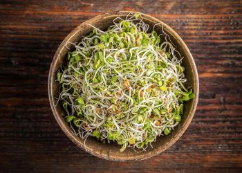 Sprouts Dishes: स्प्राउट्स के साथ बनती है ये 5 मजेदार डिश, जो हेल्थ के साथ स्वाद में भी दमदार