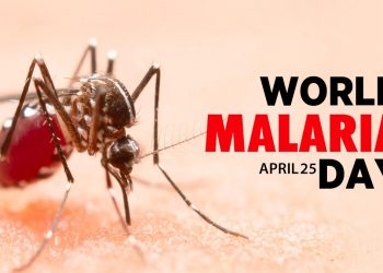 World Malaria Day 2024: विश्व मलेरिया डे आज, जानिए बचाने का उपाय और इस साल का थीम