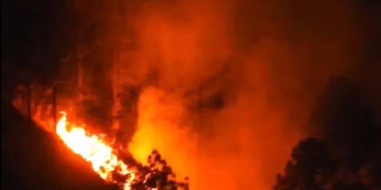 Uttarakhand Forest Fire:नैनीताल के जंगलों में लगी भीषण आग, हाईकोर्ट कॉलोनी तक पहुंची जंगल की आग, सेना बुलाई गई
