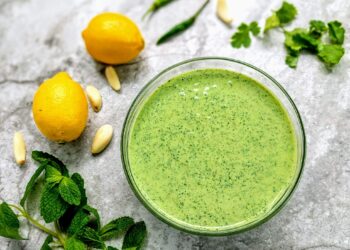 रोज एक ही खाने खाकर हो गई हैं बोर, तो आज ही इन 5 चटनी को खाने में करें शामिल