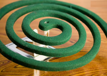 पॉल्यूशन में आपके लिए खतरनाक हो सकती है मच्छर भगाने वाली कॉयल, जान लें नुकसान