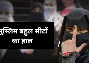 Delhi Election Result : मुस्लिम बहुल सीटों का हाल, आसान नहीं आम आदमी पार्टी की राहें 