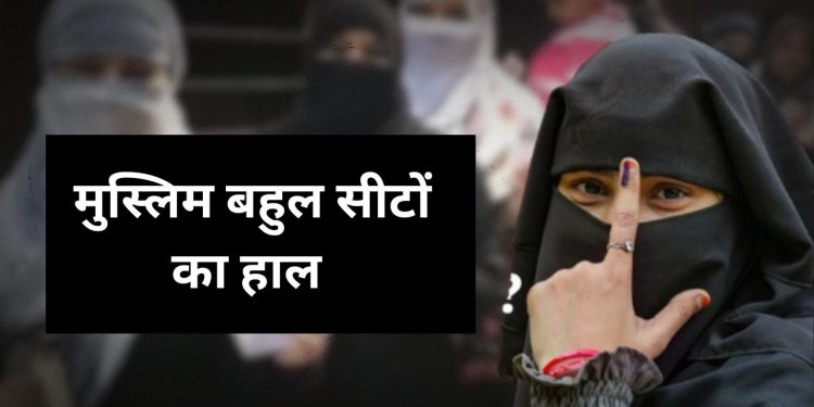 Delhi Election Result : मुस्लिम बहुल सीटों का हाल, आसान नहीं आम आदमी पार्टी की राहें 