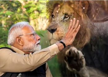 PM Modi in Vantara : PM मोदी ने ‘वनतारा’ का किया उद्घाटन, जानवरों के साथ की खूब मस्ती
