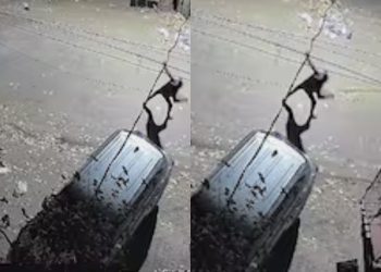 Prayagraj : प्रयागराज में आरजकतत्वों का आतंक, बंद जनरल स्टोर पर फेंके 3 बम