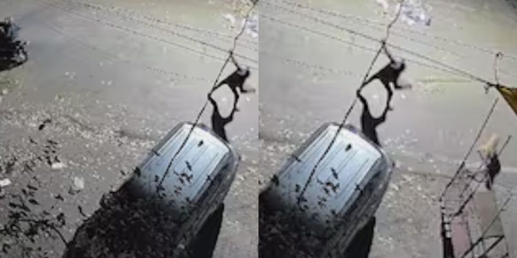 Prayagraj : प्रयागराज में आरजकतत्वों का आतंक, बंद जनरल स्टोर पर फेंके 3 बम