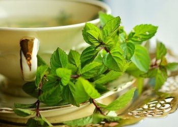 Benefit of Mint: गर्मी से तुरंत मिलेगी राहत, पुदीना के फायदे जानकर दिमाग को करिए ‘कूल’