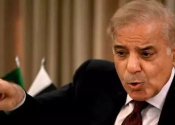 Pahalgam Terror Attack : पीछे हट गया पाकिस्तान! पहलगाम हमले की जांच के लिए शहबाज शरीफ तैयार