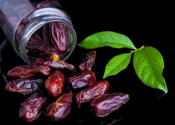 Benefits of Dates: मोटापा से है परेशान तो रोज खाली पेट खाएं खजूर, जानें फायदे