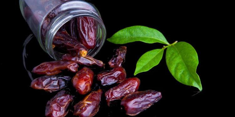 Benefits of Dates: मोटापा से है परेशान तो रोज खाली पेट खाएं खजूर, जानें फायदे