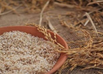 Benefits of Brown Rice: सेहत के लिए काफी फायदेमंद होता है ब्राउन राइस, इन 4 स्वास्थ समस्याओं से बचाव