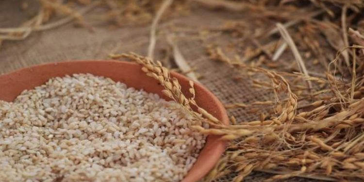 Benefits of Brown Rice: सेहत के लिए काफी फायदेमंद होता है ब्राउन राइस, इन 4 स्वास्थ समस्याओं से बचाव
