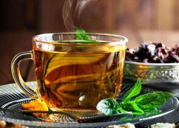 Herbal Drinks Benifits : मोटापे से हैं परेशान… तो खाली पेट पिएं ये 4 हर्बल ड्रिंक, काट सकते हैं चर्बी