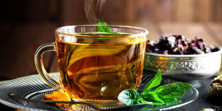 Herbal Drinks Benifits : मोटापे से हैं परेशान… तो खाली पेट पिएं ये 4 हर्बल ड्रिंक, काट सकते हैं चर्बी