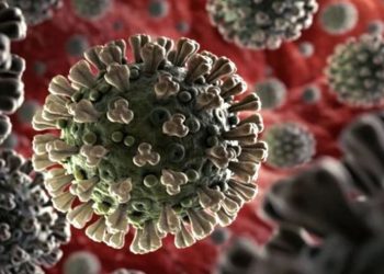 Corona Virus : फिर लौटा कोरोना, देशभर में मचा हड़कंप! बुजुर्ग, बच्चे और गर्भवती महिलाएं रहें घर के अंदर