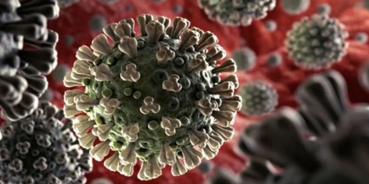 Corona Virus : फिर लौटा कोरोना, देशभर में मचा हड़कंप! बुजुर्ग, बच्चे और गर्भवती महिलाएं रहें घर के अंदर