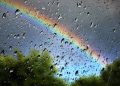 Delhi-NCR Weather : राजधानी में मौसम बदलते ही मिली भीषण गर्मी से राहत, तेज आंधी के बाद गिरी बूंदे