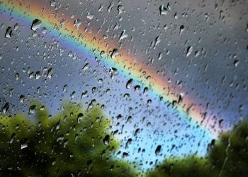 Delhi-NCR Weather : राजधानी में मौसम बदलते ही मिली भीषण गर्मी से राहत, तेज आंधी के बाद गिरी बूंदे