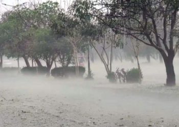 Pakistan: पाकिस्तान में मौसम की मार से हाहाकार, आंधी-तूफान और बारिश से 13 की गई जान