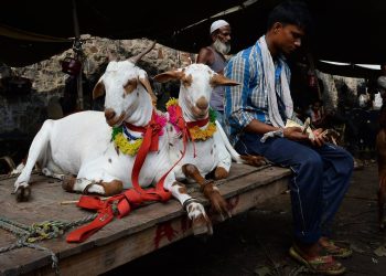 Eid Ul Adha 2025: दिल्ली में बकरीद पर एडवाइजरी जारी, कुर्बानी को लेकर दिए सख्त निर्देश