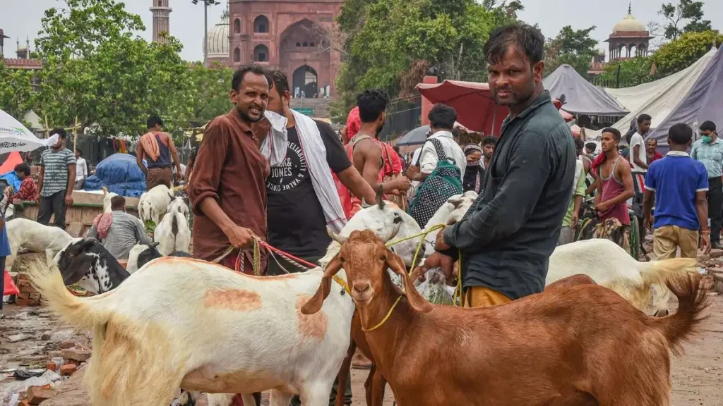 Bakra Eid 2025: बकरीद पर कुर्बानी को लेकर सख्त चेतावनी, शाही इमाम ने जारी किया फरमान