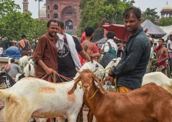 Bakra Eid 2025: बकरीद पर कुर्बानी को लेकर सख्त चेतावनी, शाही इमाम ने जारी किया फरमान