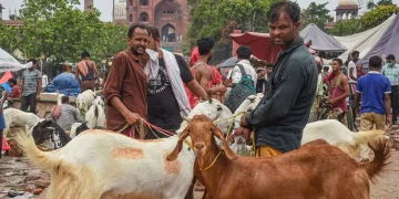 Bakra Eid 2025: बकरीद पर कुर्बानी को लेकर सख्त चेतावनी, शाही इमाम ने जारी किया फरमान