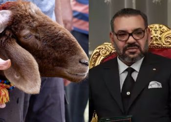 Bakrid 2025: बकरीद पर नहीं होगी किसी भी जानवर की कुर्बानी…मुस्लिम आबादी वाले देश ने किया बड़ा ऐलान