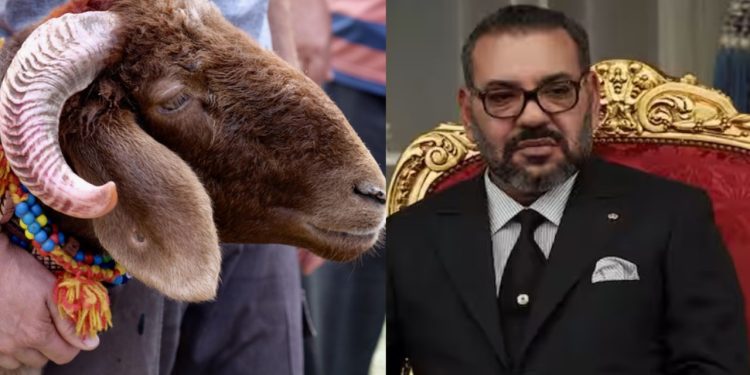 Bakrid 2025: बकरीद पर नहीं होगी किसी भी जानवर की कुर्बानी…मुस्लिम आबादी वाले देश ने किया बड़ा ऐलान