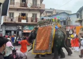 Jagannath Yatra 2025: जगन्नाथ रथ यात्रा में बेकाबू हुए तीन हाथी, मची भगदड़ चार लोग हुए घायल