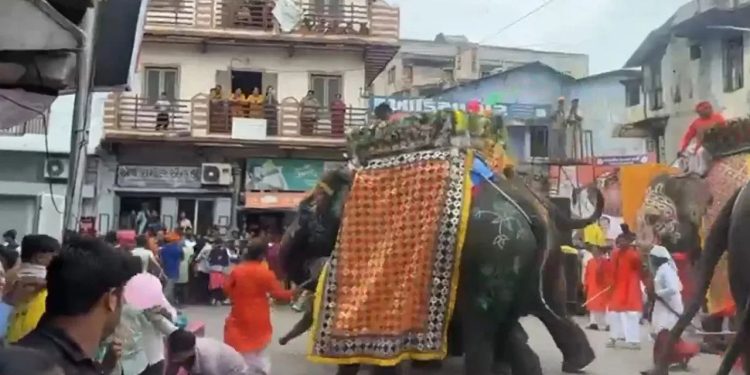 Jagannath Yatra 2025: जगन्नाथ रथ यात्रा में बेकाबू हुए तीन हाथी, मची भगदड़ चार लोग हुए घायल