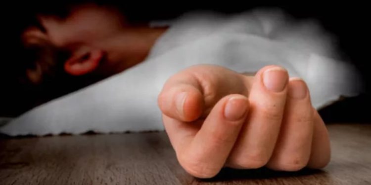 Delhi Girl Murder Case: पहले पिज्जा ऑर्डर, फिर लड़की की मौत…दिल्ली के होटल में मिली लाश